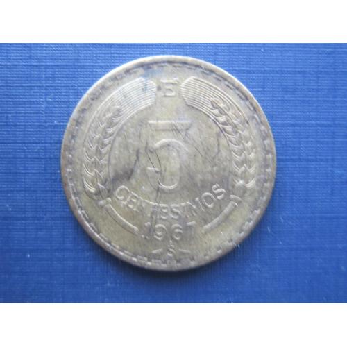 Монета 5 чентезимо Чили 1967 фауна орёл