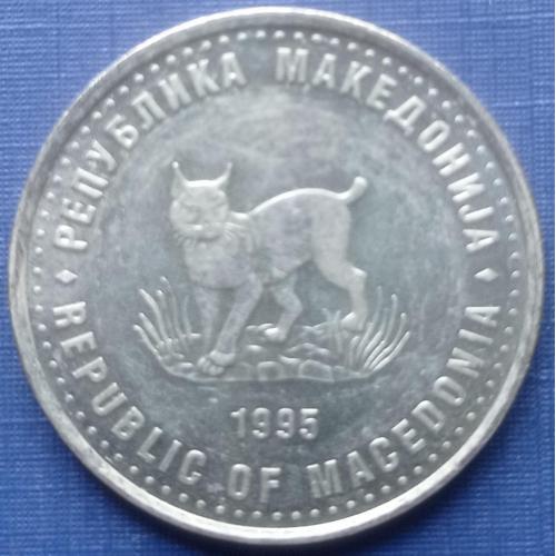 Монета 5 денари Македония 1995 ФАО фауна рысь