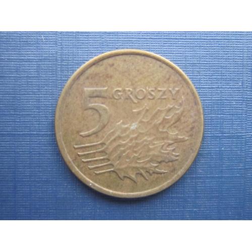 Монета 5 грошей Польша 1991