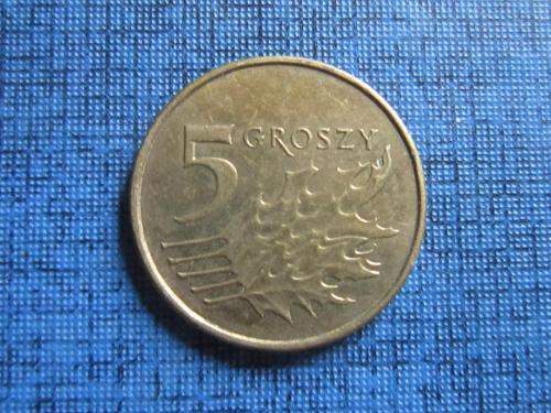 Монета 5 грошей Польша 2011