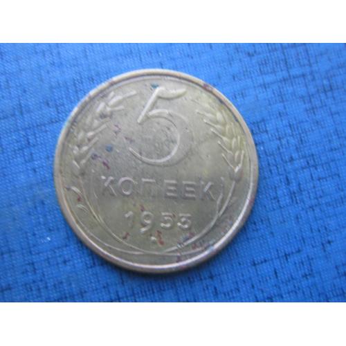 Монета 5 копеек СССР 1953
