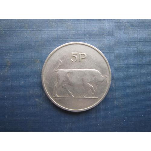 Монета 5 пенсів Ірландія 1971 фауна бик