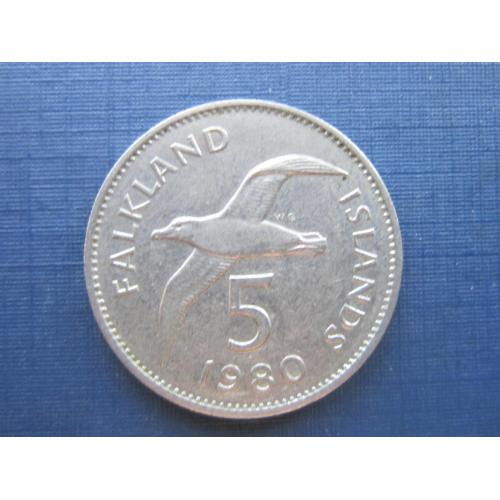 Монета 5 пенсов Фолклендские острова Фолкленды Британские 1980 фауна птица чайка большая