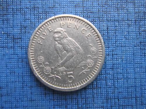 Монета 5 пенсов Гибралтар Великобритания 1990 фауна обезьяна