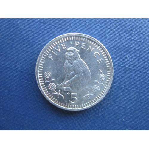 Монета 5 пенсов Гибралтар Великобритания 1992 фауна обезьяна