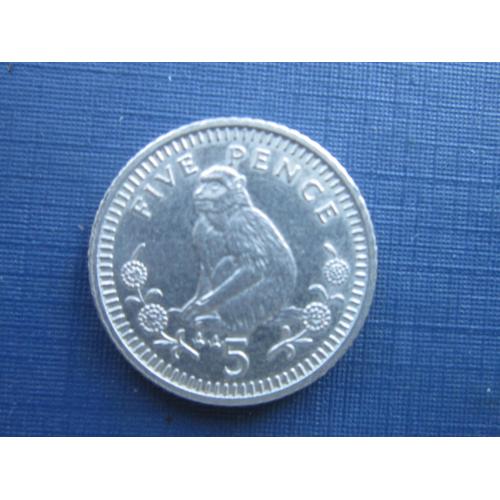 Монета 5 пенсов Гибралтар Великобритания 1994 фауна обезьяна