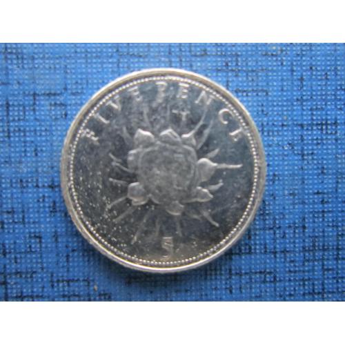 Монета 5 пенсов Гибралтар Великобритания 2014 флора цветок