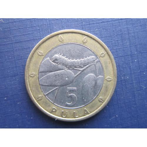 Монета 5 пула Ботсвана 2007 фауна гусеница маленькая