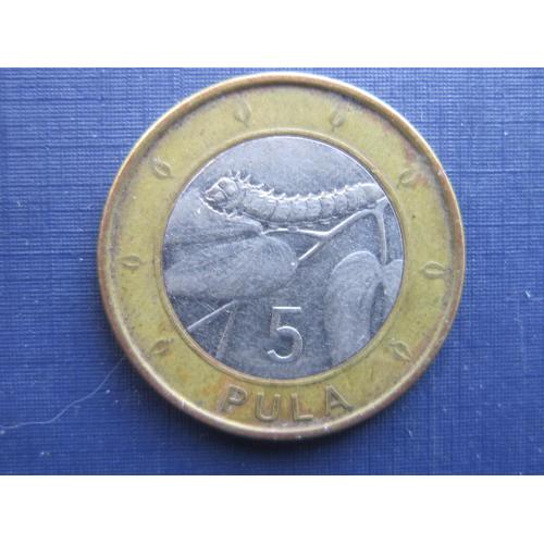 Монета 5 пула Ботсвана 2013 фауна гусеница большая