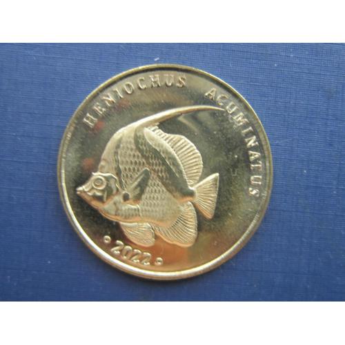 Монета 5 рингит (доллар) Лабуан Малайзия 2023 фауна рыба белопёрая кабуба