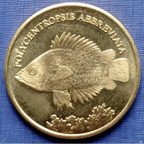 Монета 5 рупий Малуку Селатан (Индонезия) 2019 фауна рыба №1