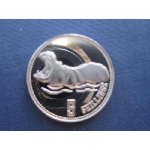Монета 5 шиллингов Сомали Сомалиленд 2019 фауна бегемот