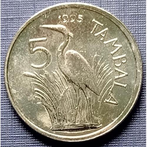Монета 5 тамбала Малави 1995 фауна птица