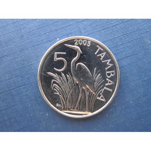 Монета 5 тамбала Малави 2003 фауна птица состояние