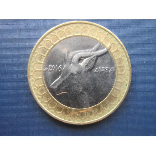 Монета 50 динаров Алжир 2016 фауна косуля