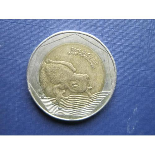 Монета 500 песо Колумбия 2017 фауна лягушка