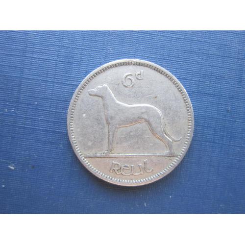 Монета 6 пенсов Ирландия 1947 фауна собака