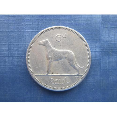 Монета 6 пенсов Ирландия 1961 фауна собака