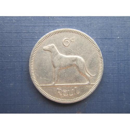 Монета 6 пенсов Ирландия 1962 фауна собака