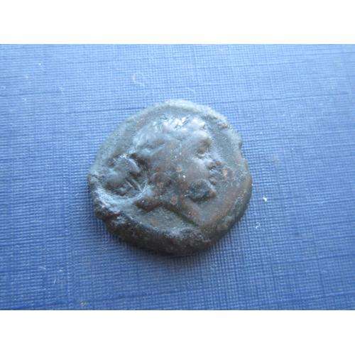 Монета Древняя Греция гемихалк лепта Ольвия 4-й век до НЭ редкая