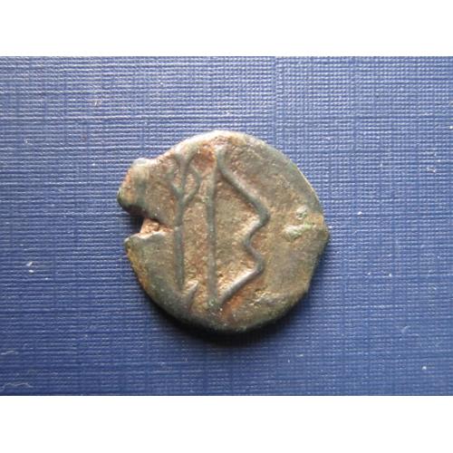 Монета Пантикапей Боспорское царство лук стрелы 3-й век до НЭ бронза