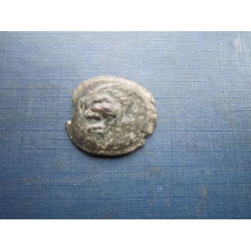 Монета Пантикапей Стародавня Греція