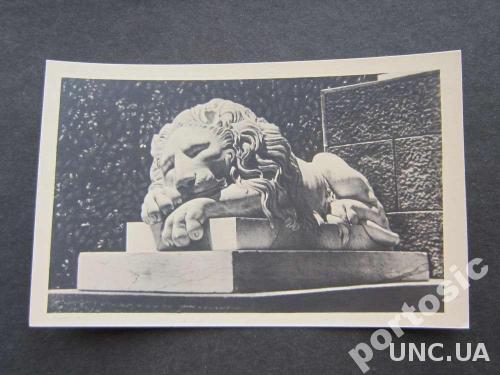 открытка 1955 Алупка Спящий лев тираж 5 000 !!!
