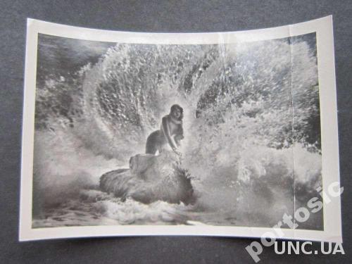 открытка 1956 Крым Мисхор русалка
