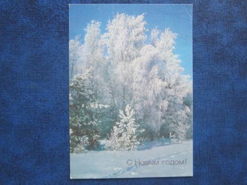 открытка С Новым Годом! Зимний лес 