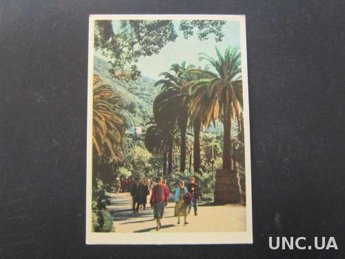 открытка СССР 1963 Гагра Пальмовая алея
