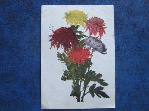 открытка старая СССР 1932 Цветы прошла почту т. 25 000