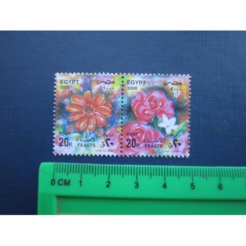 Пара 2 марки Єгипет 2000 флора квіти MNH
