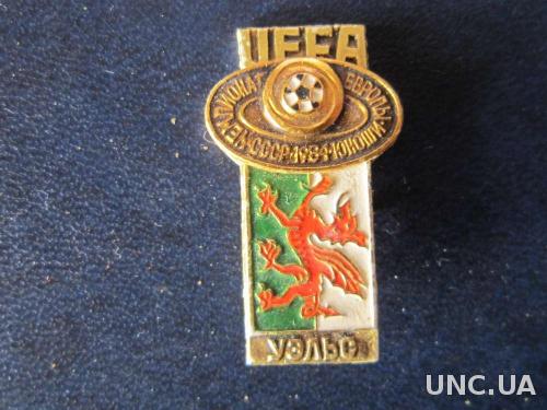 значок футбол УЕФА ЧЕ 1984 юноши Уэльс
