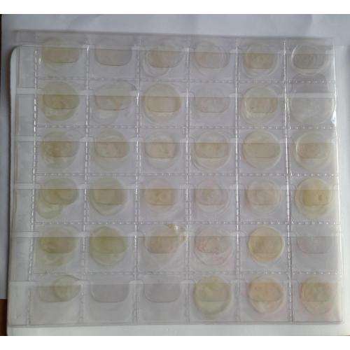 12.Лист для монет  205х230мм на 36 ячеек      (32х32 мм)   Б\У