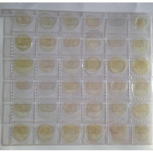 18.Лист для монет  205х230мм на 36 ячеек            (32х32 мм)   Б\У
