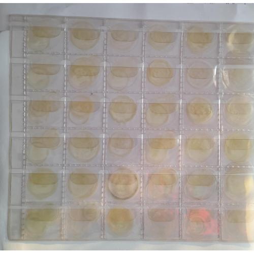 24.Лист для монет  205х230мм на 36 ячеек                  (32х32 мм)   Б\У