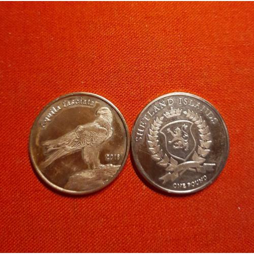 Шетландские острова 1 фунт 2018г.  Shetland Islands,Шотландия,Ястребиный орёл