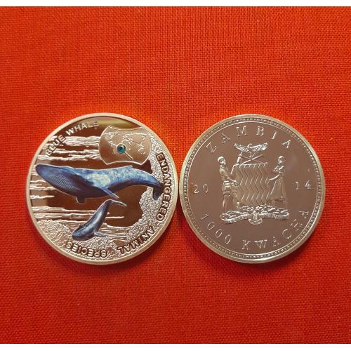 Замбия 1000 квача 2014г. 40мм,Unusual,Вымирающие виды животных - Синий кит, посеребрение