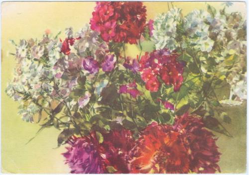 ДМПК Двухсторонняя маркированная почтовая карточка СССР Цветы букет Худ. Климашин 1957 год Гознак