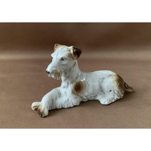 Фарфор Статуэтка Собака Фокс-терьер Скульптурна композиція Фокс-терʼєр лежить