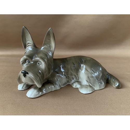 Фарфор Статуэтка Собака Скотч-терьер Скульптурна композиція Скотч-терʼєр Мануфактура Німеччина