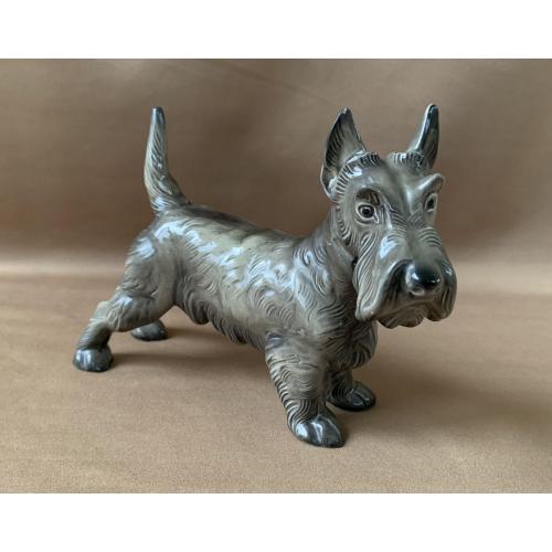 Фарфор Статуэтка Собака Скотч-терьер Скульптурна композиція Скотч-терʼєр
