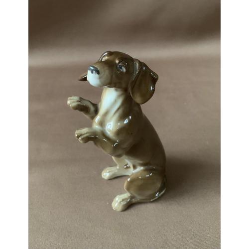 Фарфор Статуэтка Собака такса Скульптурна композиція Такса сидить на підлозі Німеччина Мануфактура