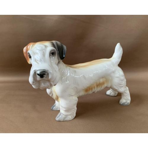 Фарфор Статуэтка Собака терьер Скульптурна композиція Терʼєр Порцеляна