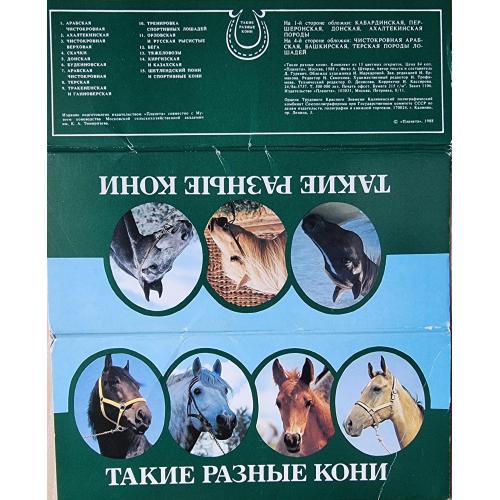 Такие разные кони Набор открыток Фауна Лошадь Скачки Бега Ахалкетинская Терская Арабская Донская