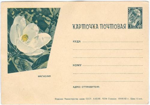 Маркированная Почтовая карточка 1963 год Магнолия СССР Флора Цветы