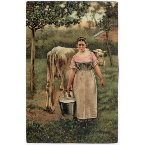 Открытка Дойка Коровы Молоко Milking Cow Stengel &amp; Co 29017 Alfred Philippe Roll