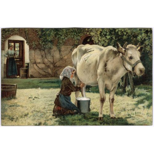 Открытка Дойка Коровы Молоко Milking Cow Stengel &amp; Co 29010 Jules Dupre