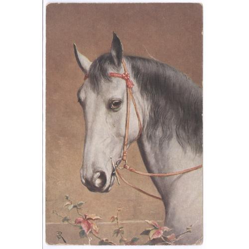 Открытка Лошадь T.S.N. Serie 1542 (4 Muster.) Postcard Horse