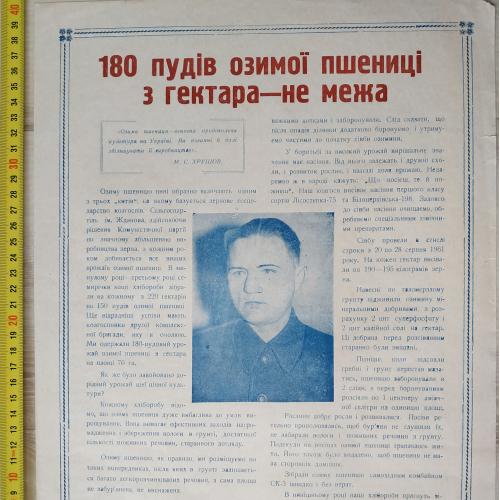 Плакат 1800 пудов озимой пшеницы Кролевецкий район Сумская область 1962 год Агитация Пропаганда СССР